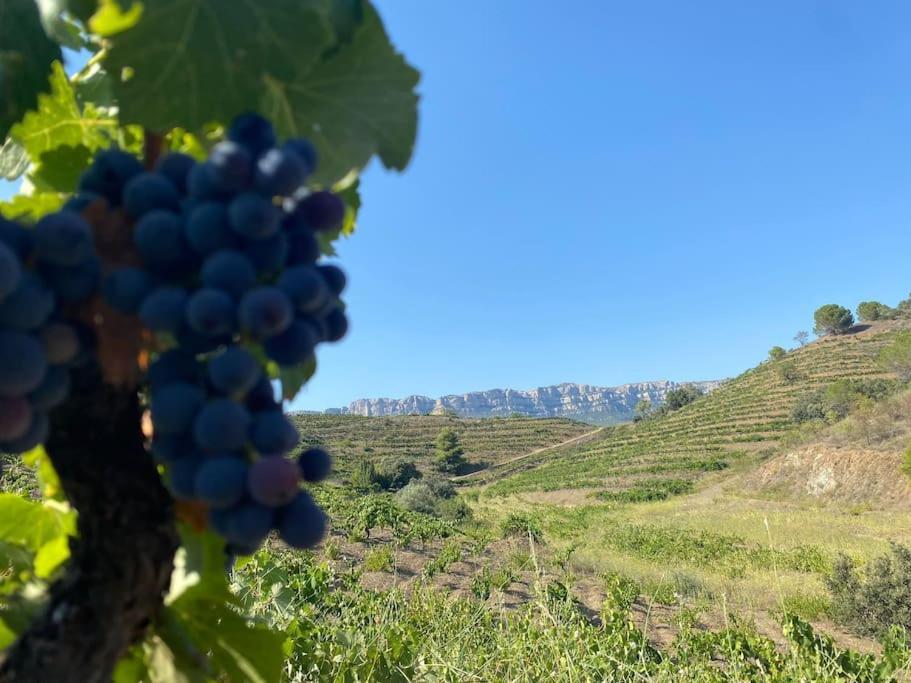 Vinyes Del Priorat Apartment Cornudella de Montsant Екстериор снимка
